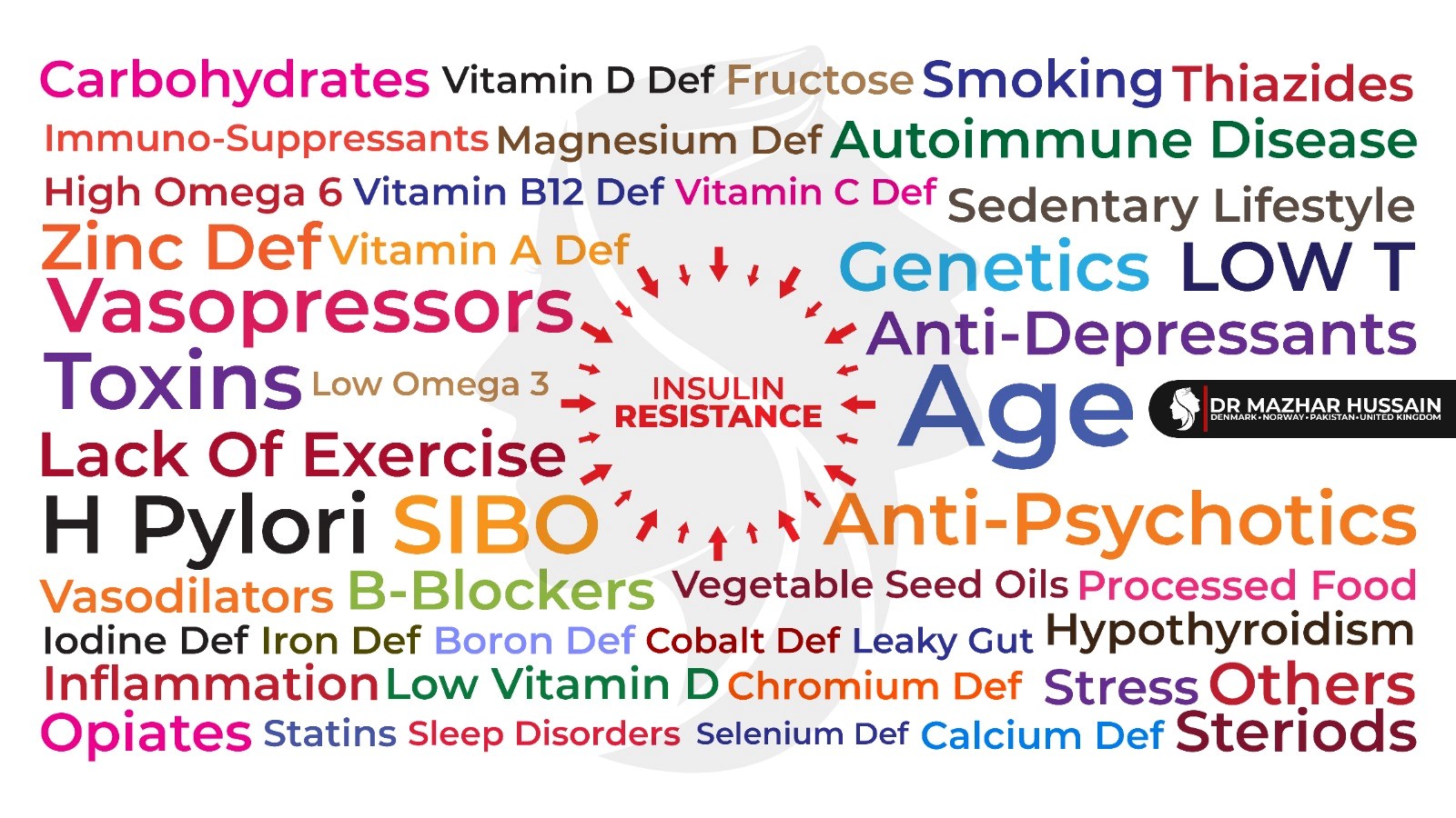 Causes of Insulin Resistance and Diabetes